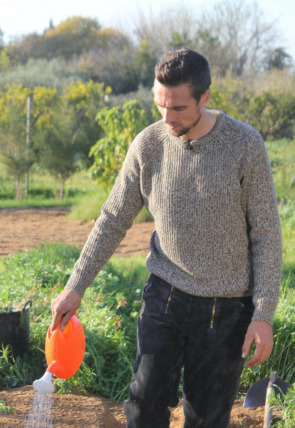 Carátula de El huerto de Renato