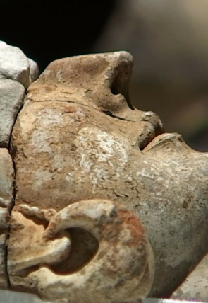 Carátula de Tarteso, un reflejo en el Guadiana