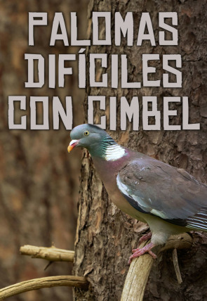 Póster de Palomas difíciles a cimbel