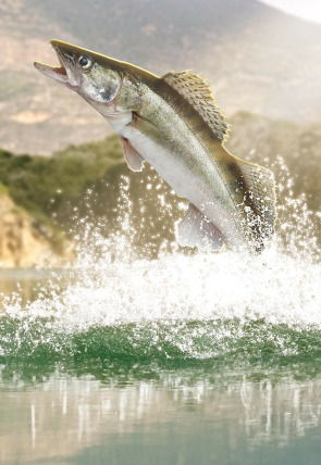 Póster de V Classic Santa Ana