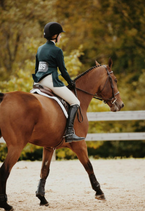 Carátula de Csio De Lisboa: Copa De Naciones