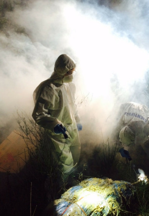 Ciencia forense en la programación de La 2 (Documentales)