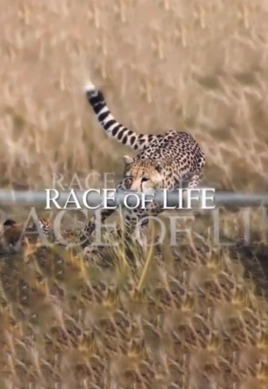 La carrera por la vida en la programación de La 2 (Documentales)