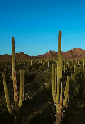 Wild México en la programación de La 2 (Documentales)