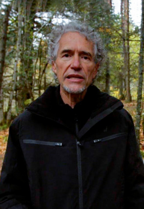 Póster de El señor de los bosques