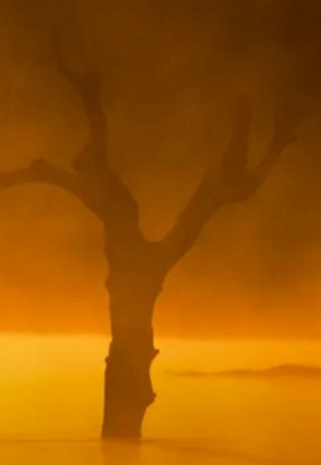 Póster de Las aves del frío