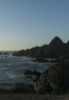 Carátula de Corriente de Humboldt: el viaje de la ballena: Génesis · El origen