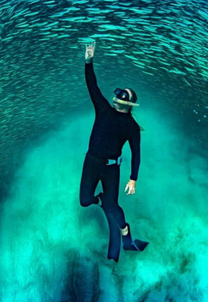 Carátula de Ningaloo. La maravilla del océano de Australia · Conexiones