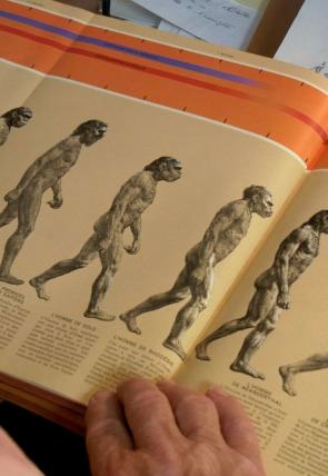 Neandertal, tras la huella de otra humanidad en la programación de La 2 (Documentales)
