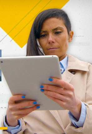 Carátula de Ciberdelitos