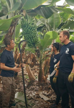 Yo soy de formación profesional en la programación de La 2 (Cultural/Educativo)