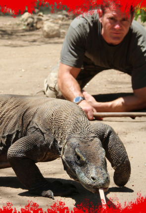 Carátula de Fauna letal · Los 60 más mortales