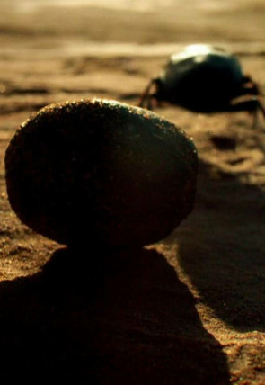 Carátula de Nuestro planeta (One Strange Rock) · Aliento