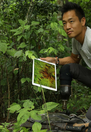 Póster de Antiguas civilizaciones de América · Mayas e Incas: los maestros de la innovación