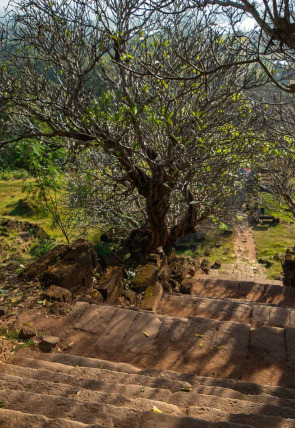 Tesoros perdidos de Angkor: el antiguo Laos al descubierto · El oro del rey en la programación de National Geographic HD (Documentales)