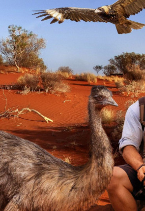 Póster de Superviviente por naturaleza · Selvas húmedas y salvajes