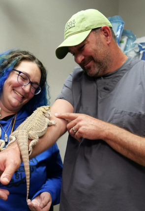 imagen de veterinarios de nebraska