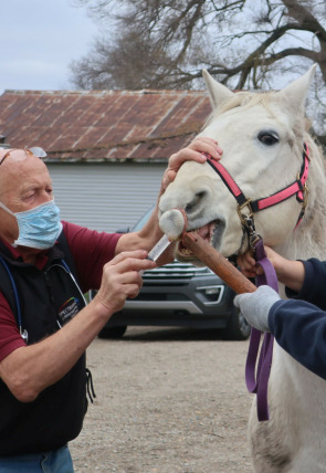 Póster de El increíble doctor Pol: A punto de reventar