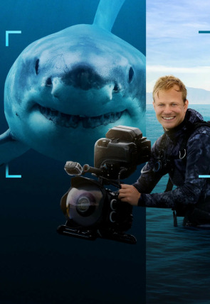 Tiburones en primer plano con Bertie Gregory en la programación de Nat Geo Wild HD (Documentales)