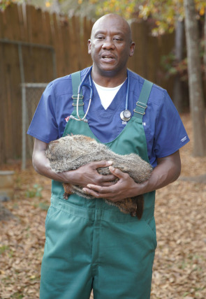 Póster de Critter fixers: Veterinarios rurales · Piel de gallina