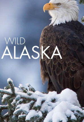 Póster de Alaska salvaje: Primavera