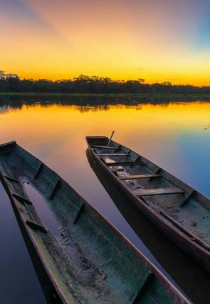 Carátula de Islas salvajes: Joyas de un paraíso · Japón. Isla de extremos