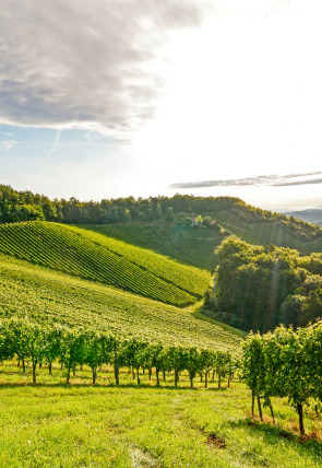 Póster de Borgoña, el corazon de Francia