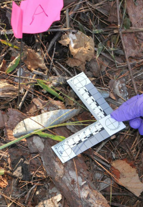 Póster de Crímenes en Floribama