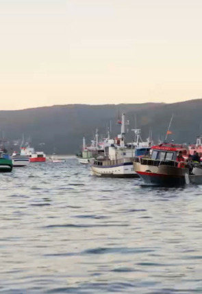 Póster de Ecce perdomo