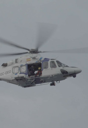 Póster de Os gardiáns do mar