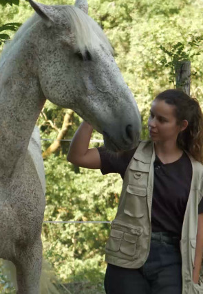 Póster de Somos animais