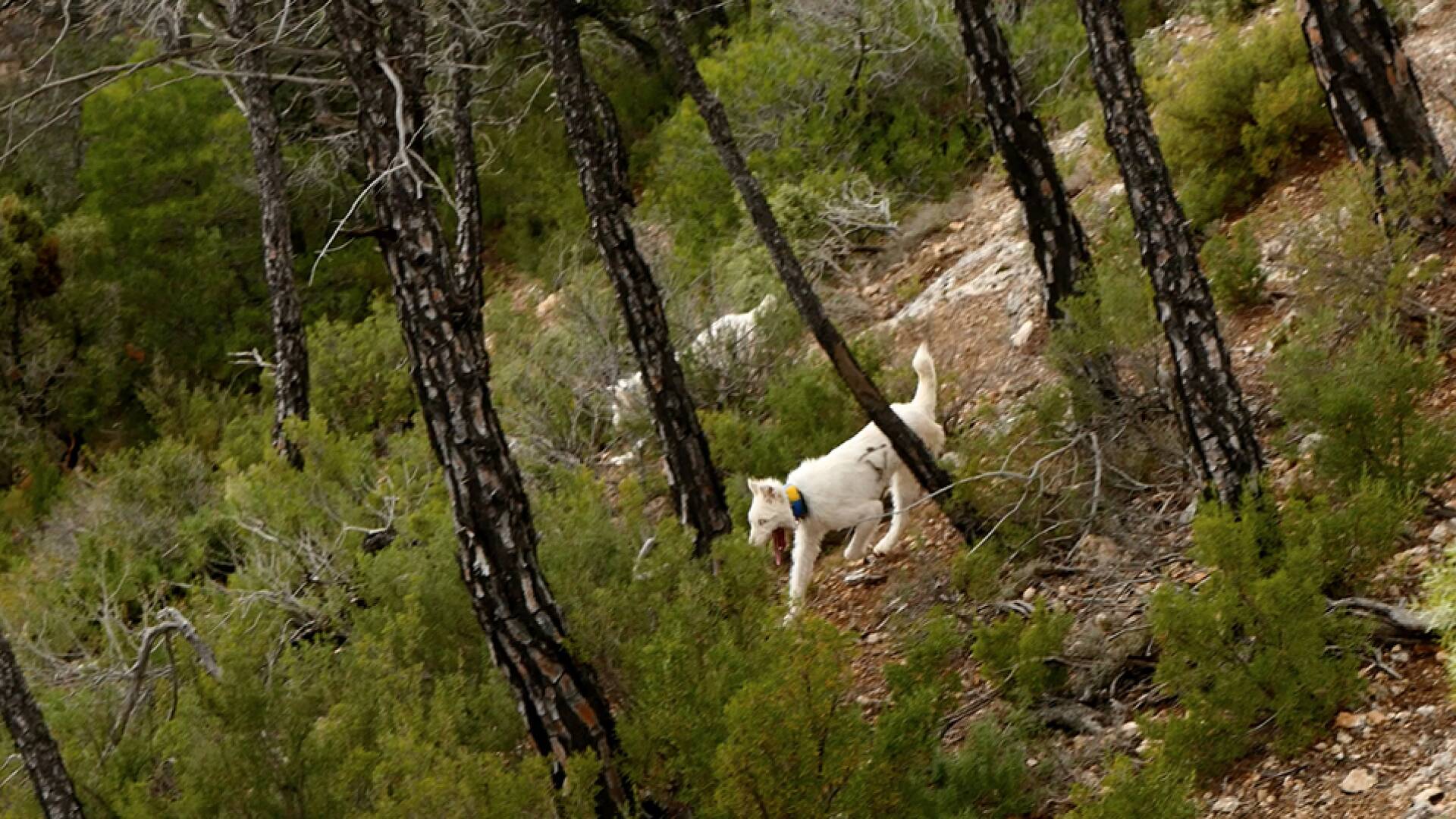 Monteando entre cierres y traviesas