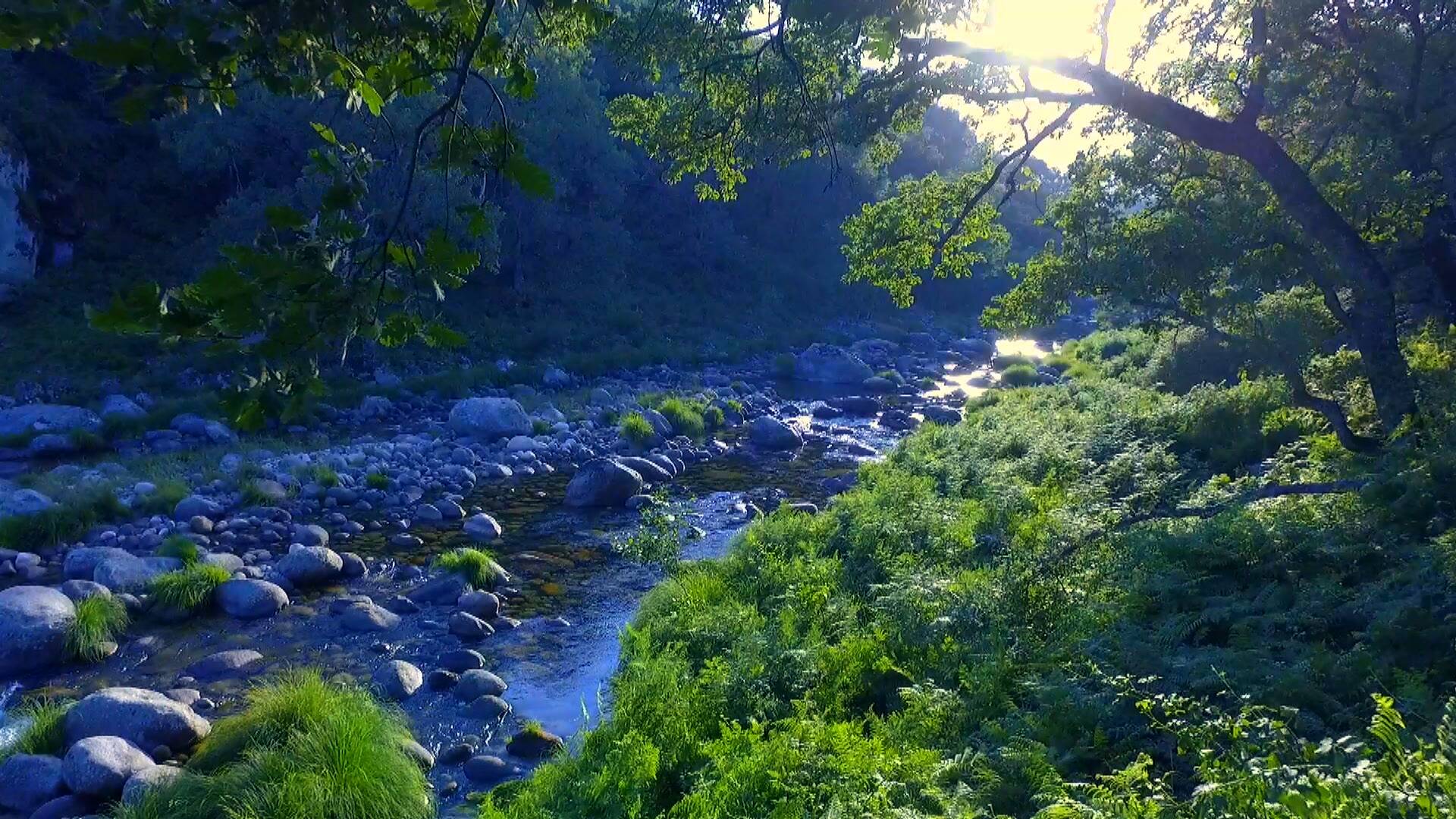 Truchas en el paraíso