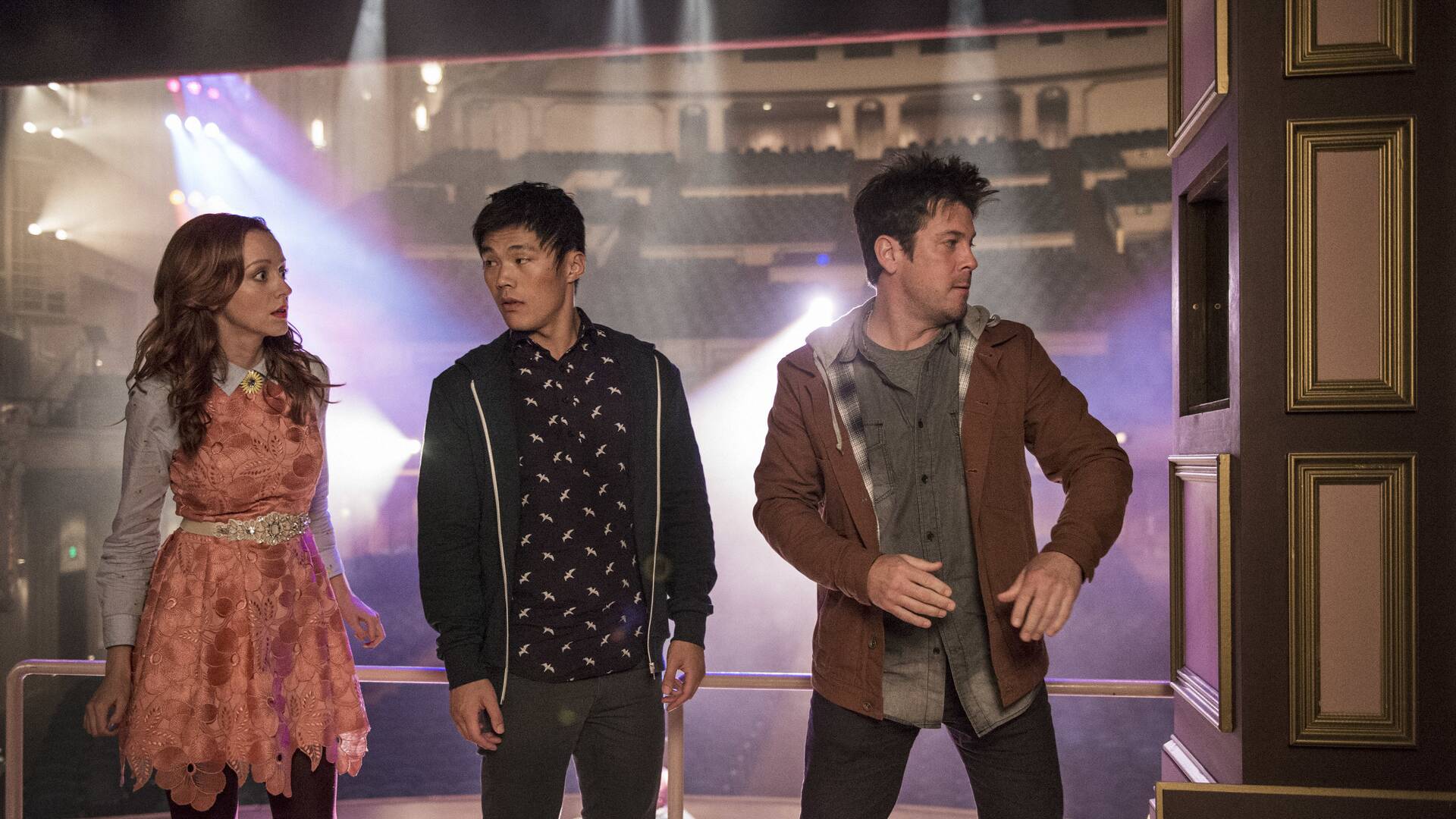 The Librarians (T4)