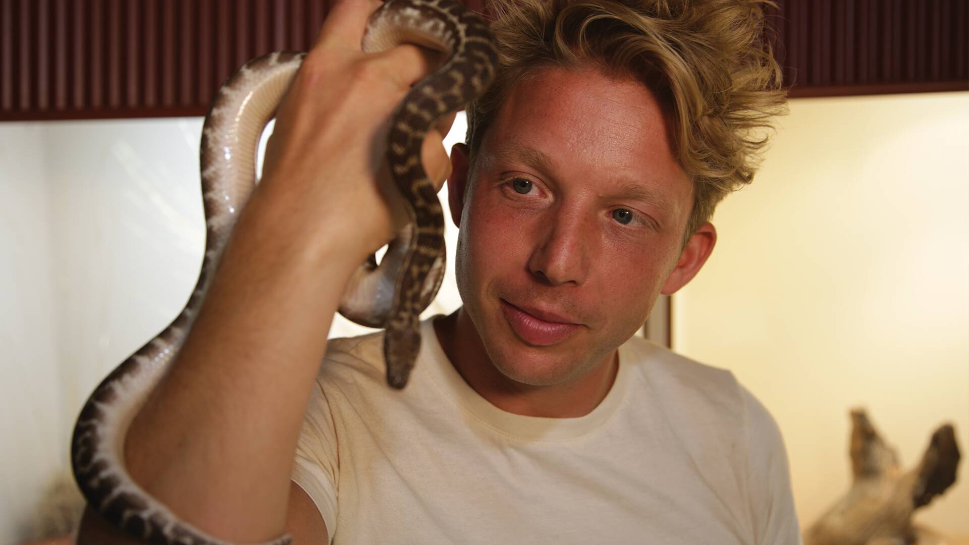 Australia extrema con...: A la caza de la serpiente fantasma