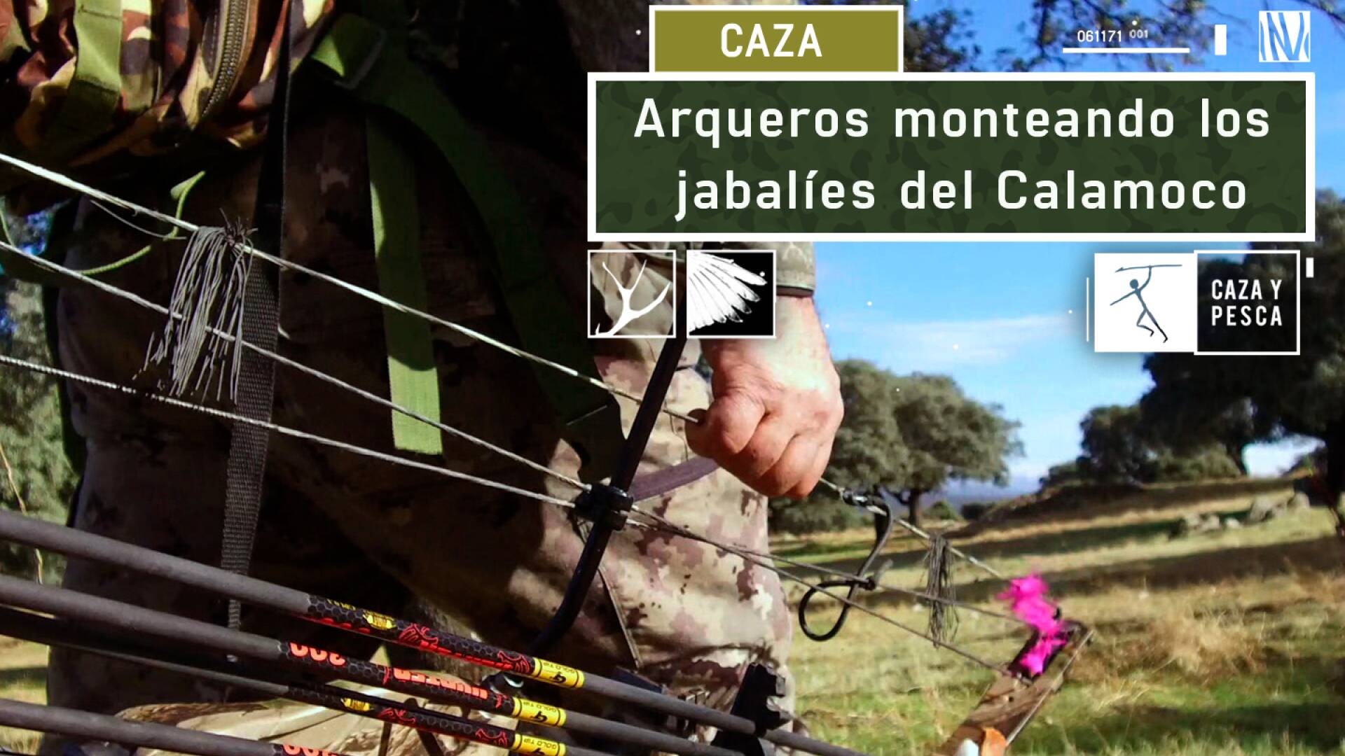 Arqueros monteando los jabalíes de Calamoco
