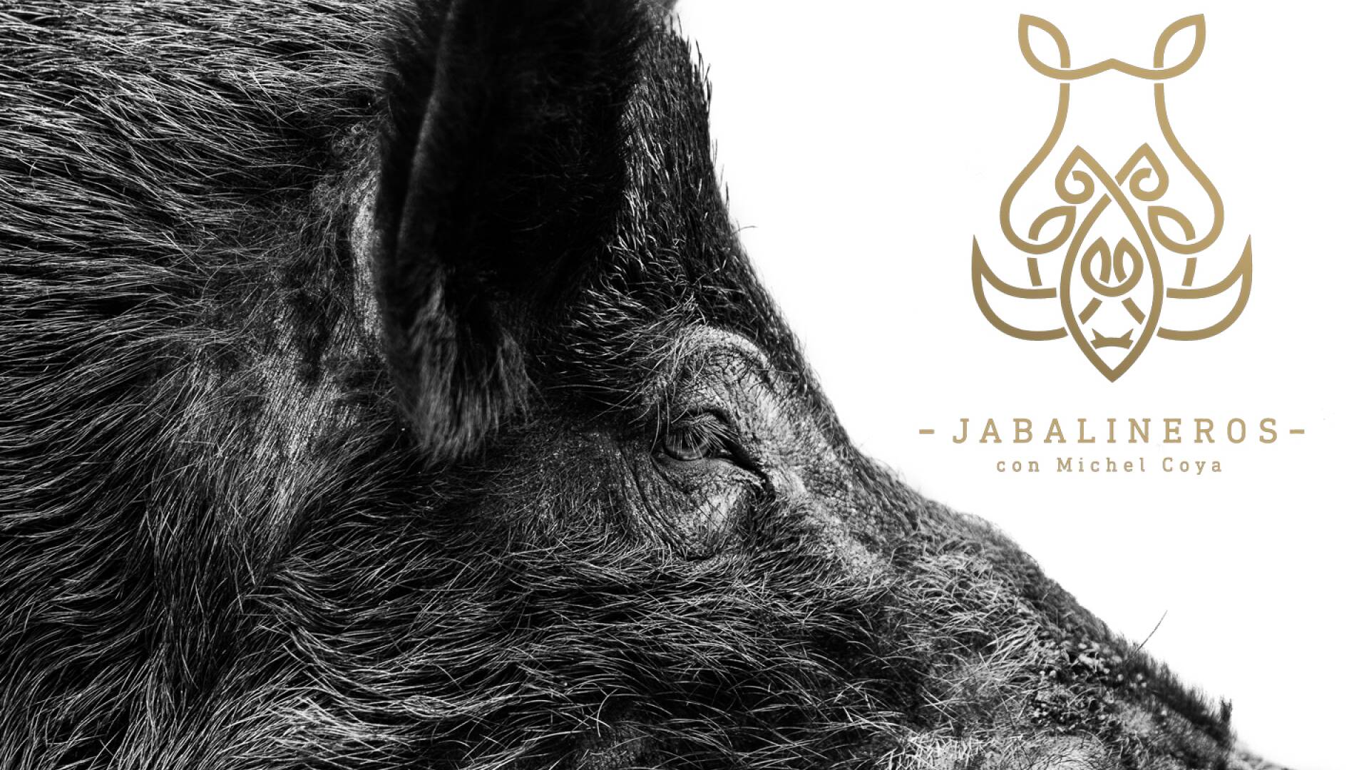 Jabalineros (T1): Con rastro y rehalas