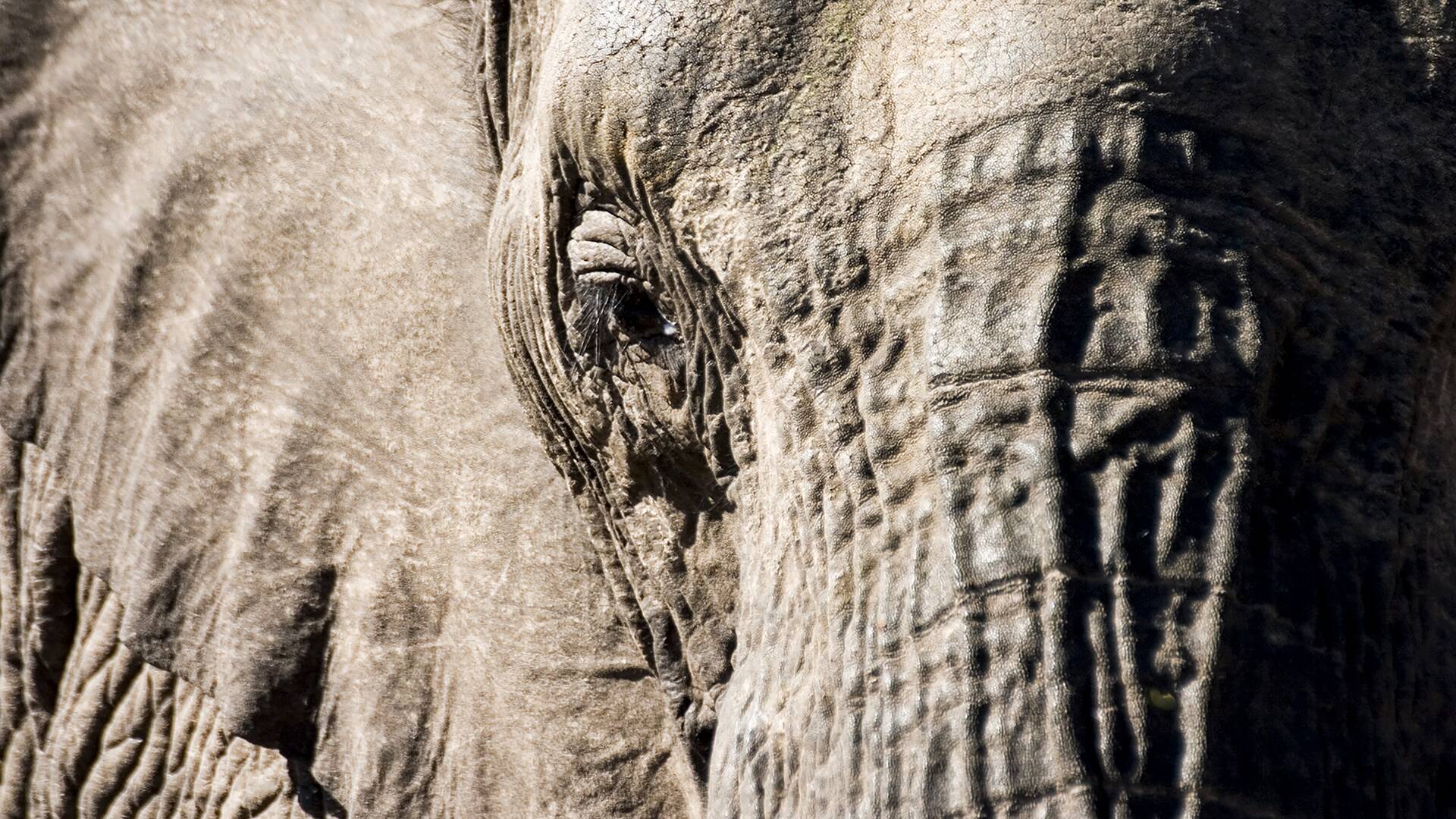 Sudáfrica: tierra de extremos