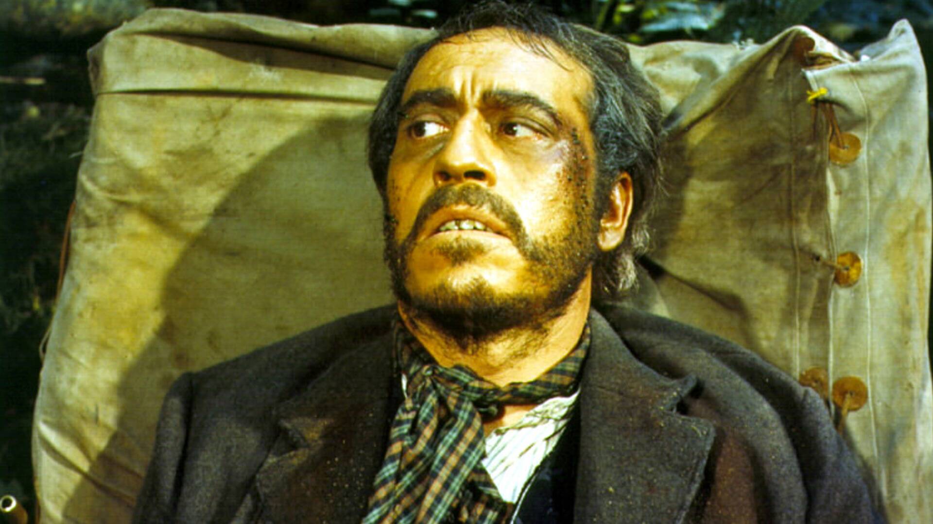 El bosque del lobo