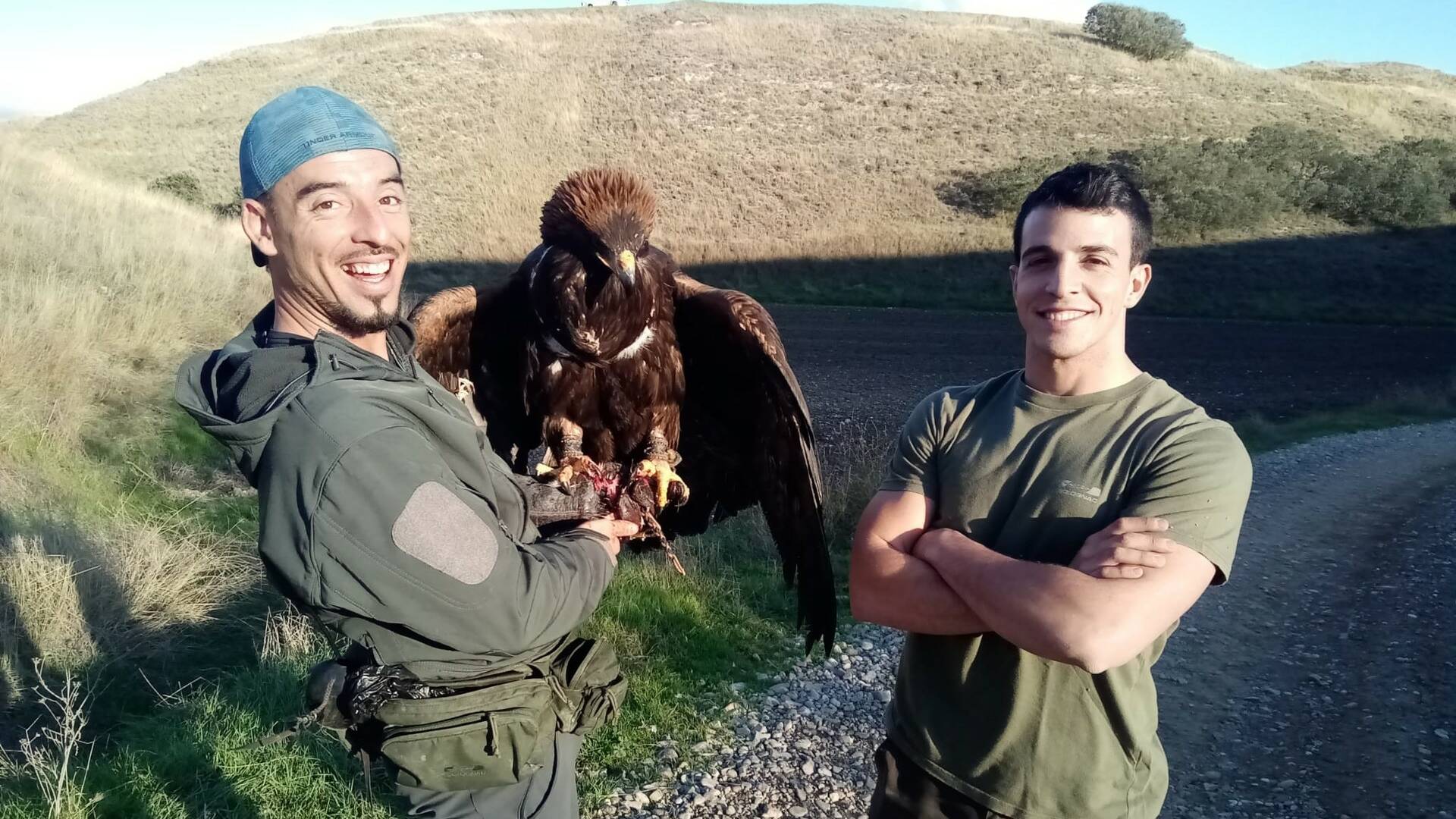 Bajo vuelo extremo con águila real