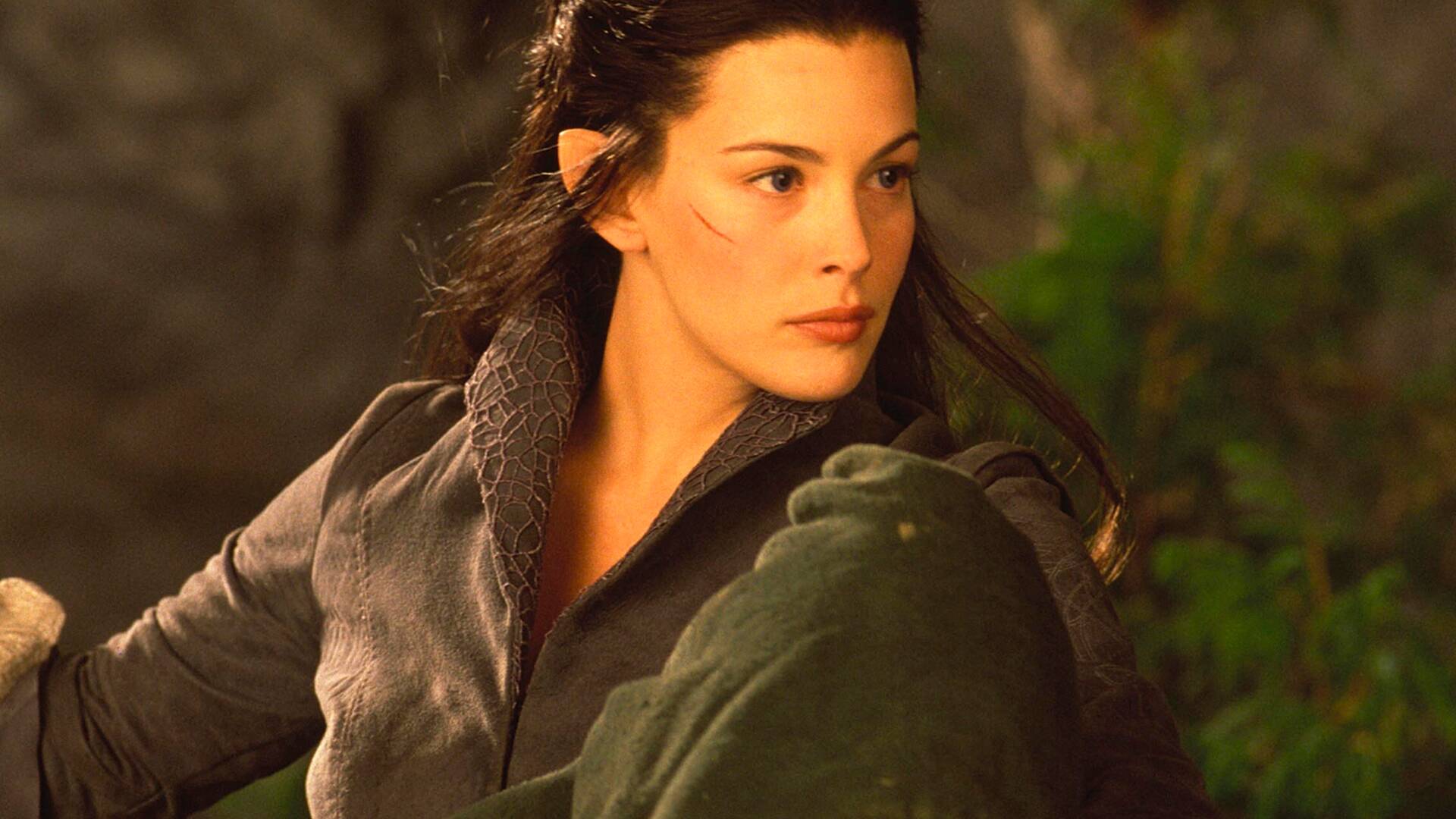 El señor de los anillos: la comunidad del anillo (versión extendida)