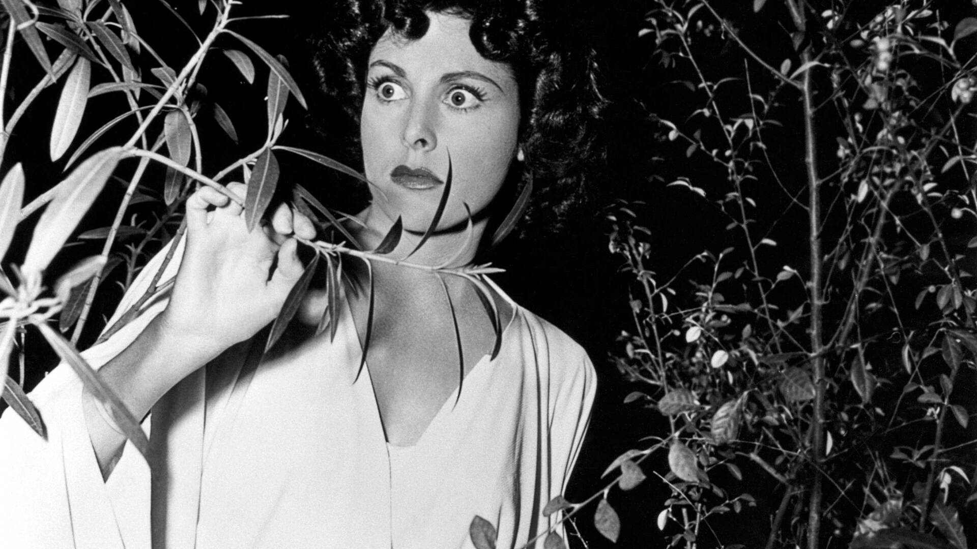 Yo anduve con un zombie