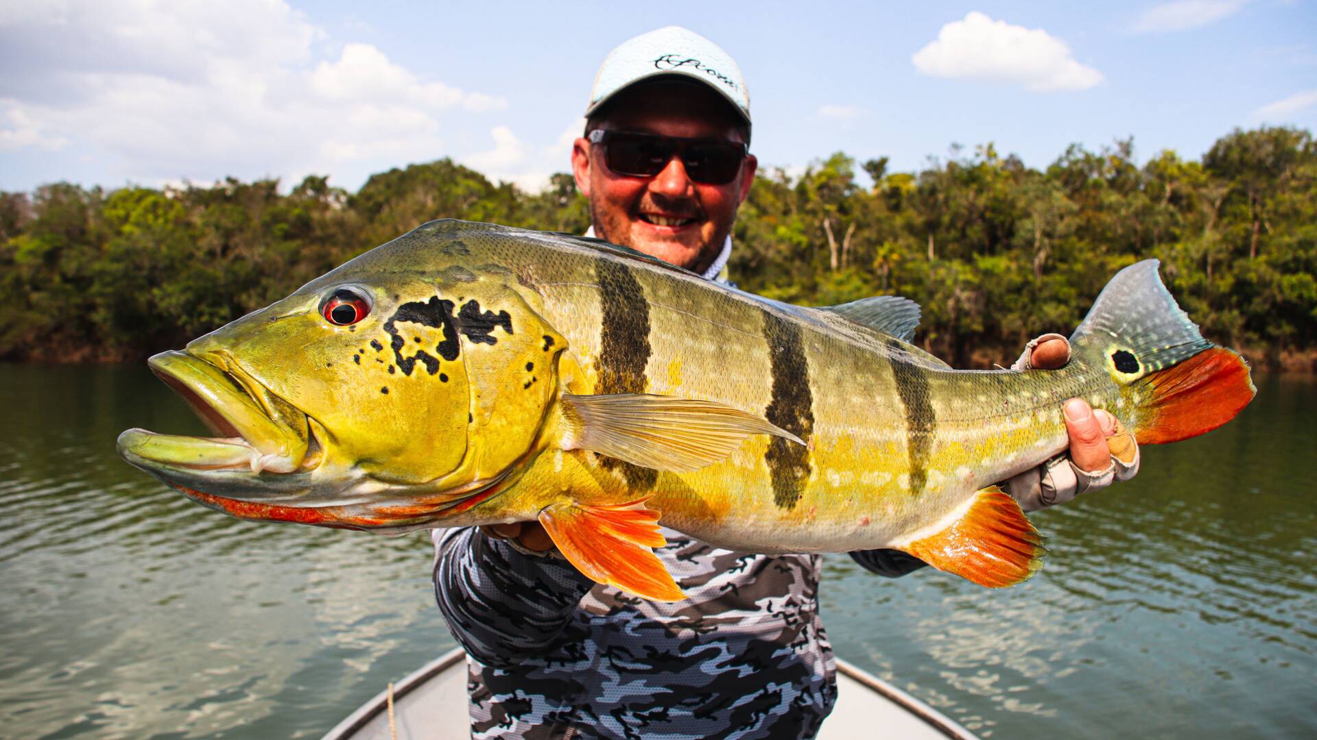 El paraíso del Peacock Bass