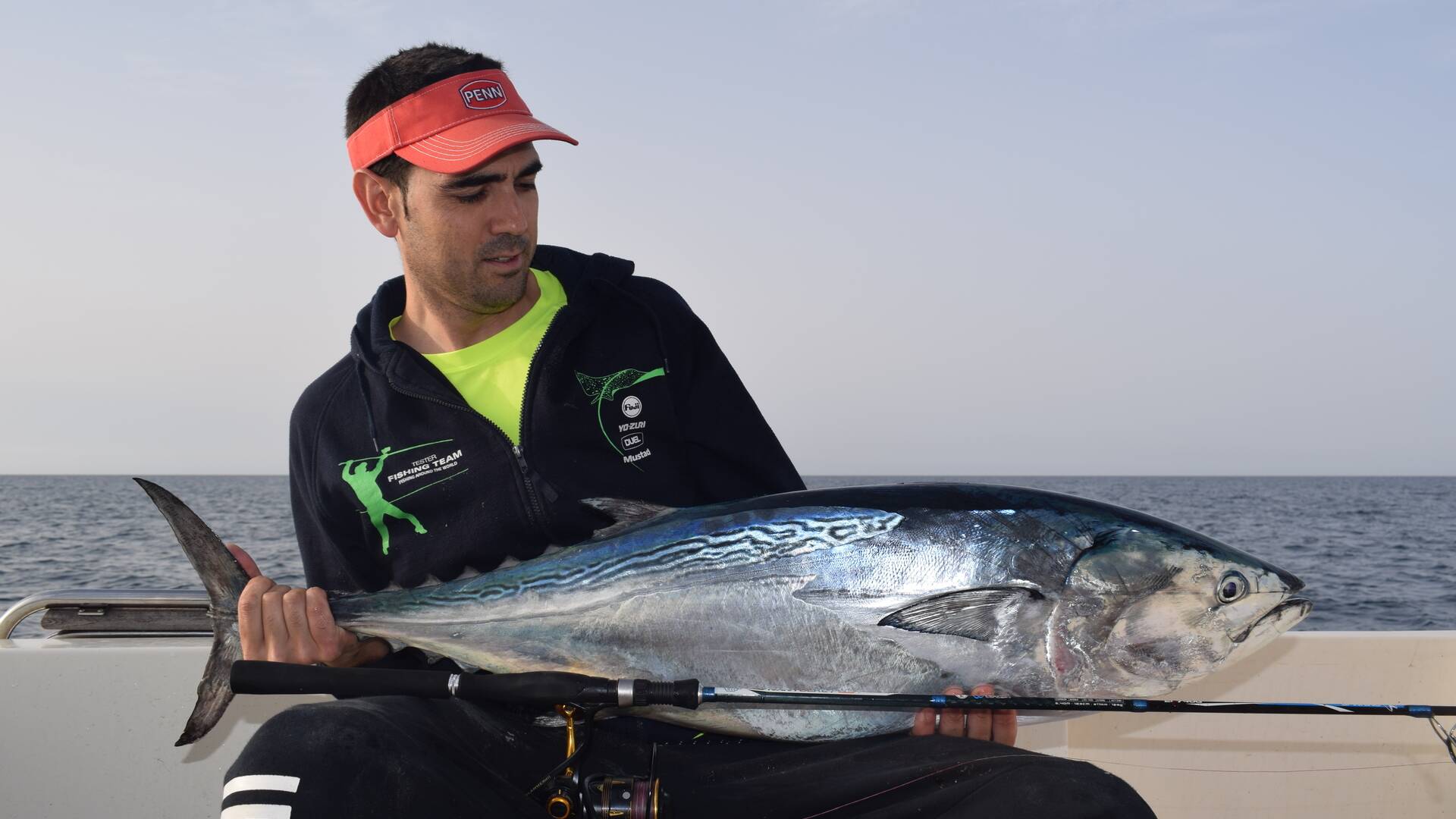 Bacoretas a spinning ligero