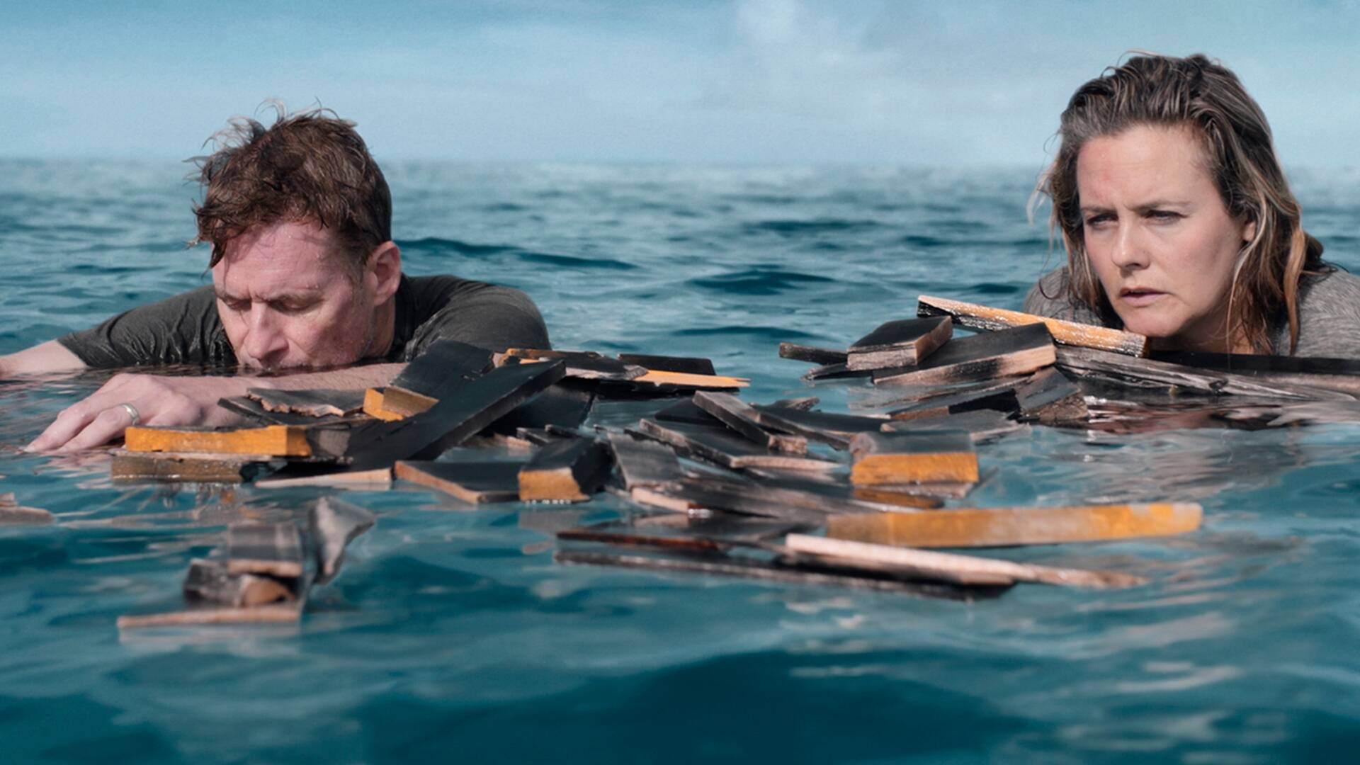 Sharkwater