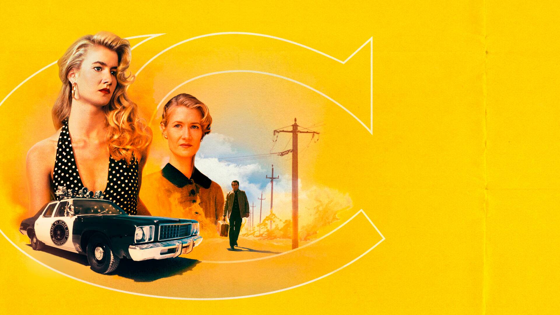 Selección TCM: Laura Dern