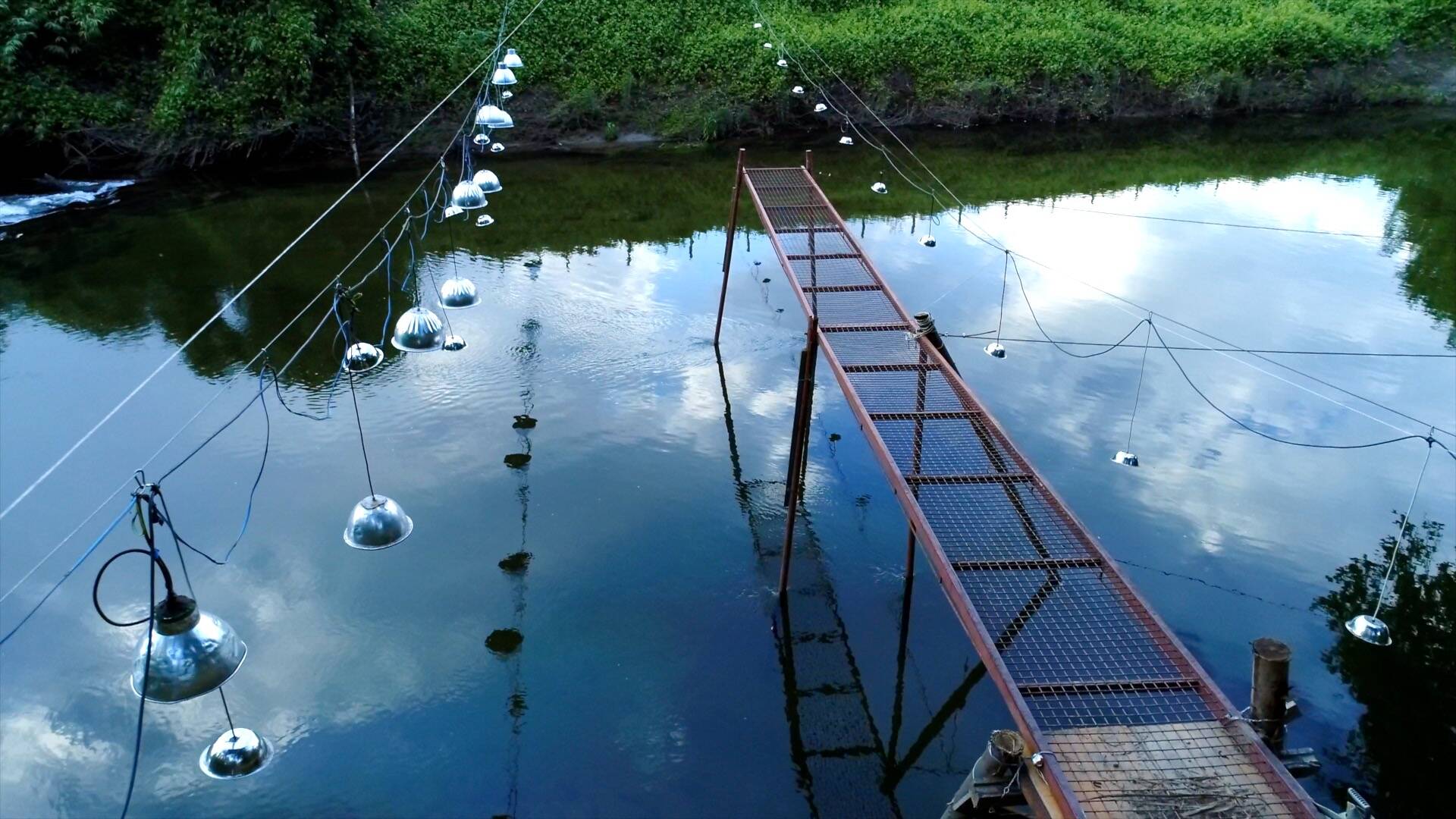 Estacadas del río Tea