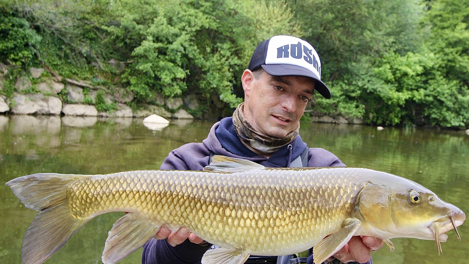 El coleccionista: Barbo de Graels