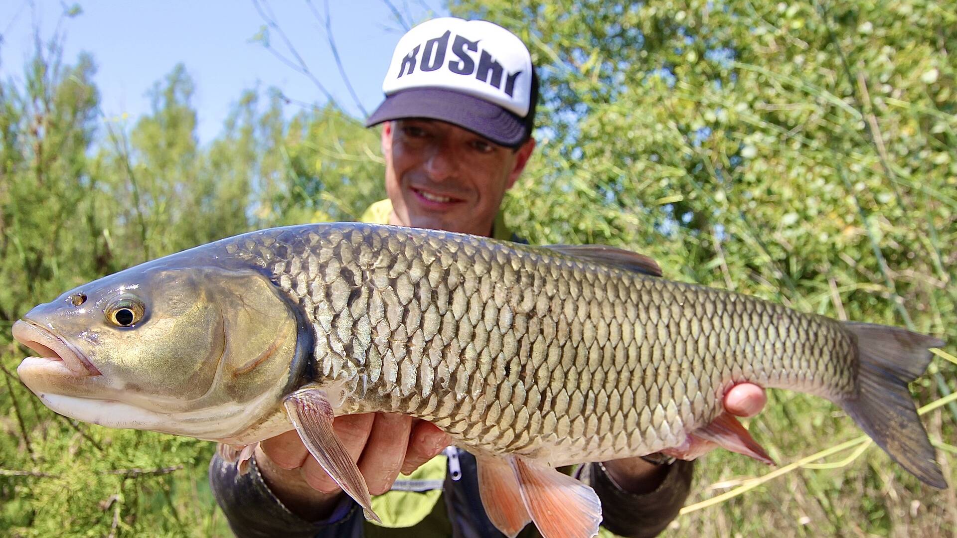 El coleccionista: Cacho