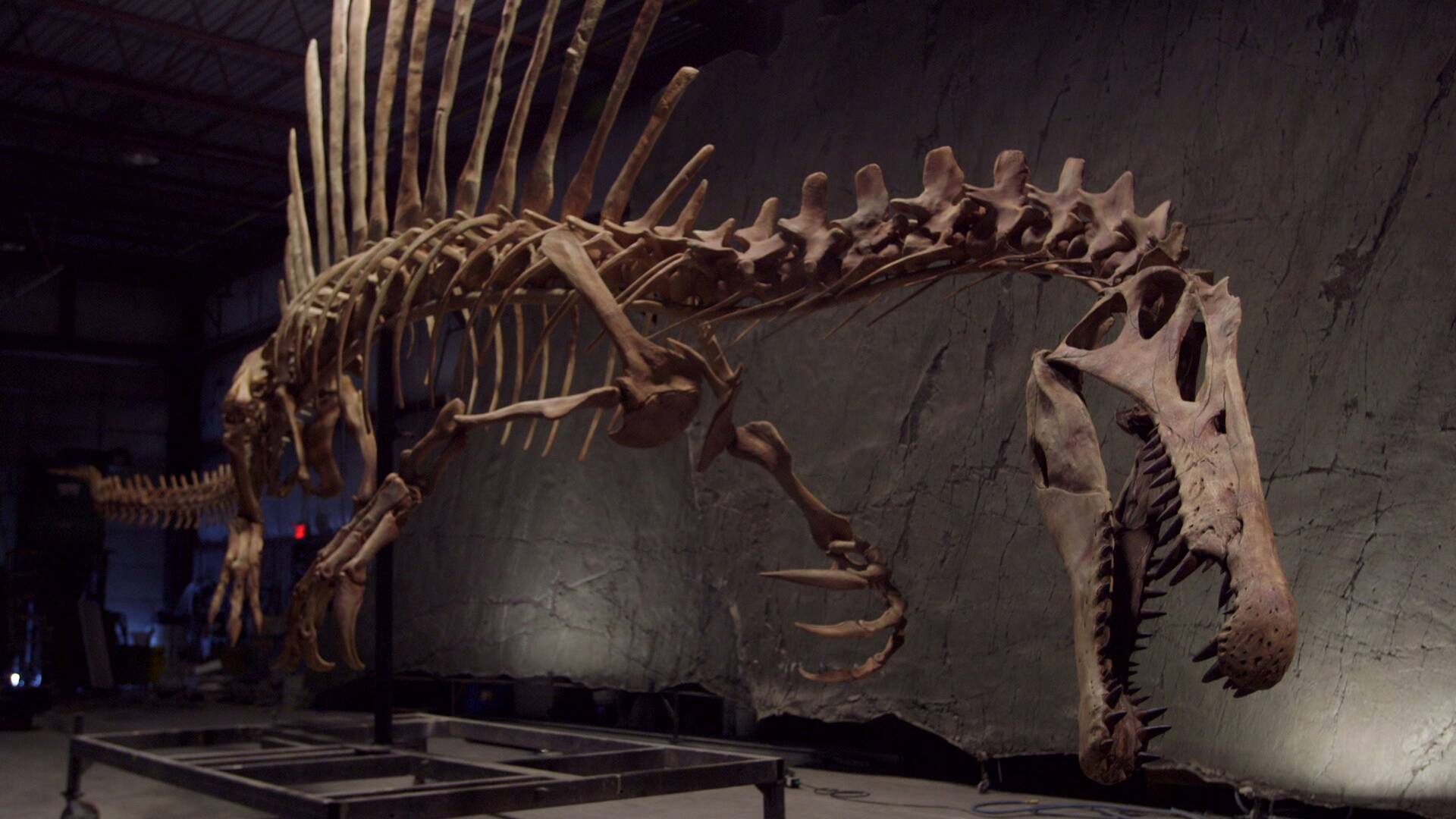 Más grande que el T. Rex